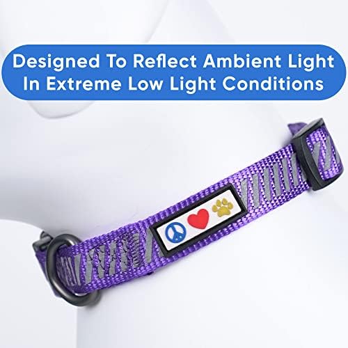Pawtitas Reflective Dog Collar - Personalized Name & Phone Number, Adjustable for Small Dogs & Puppies - Purple
