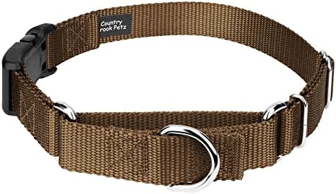 Martingale Dog Collar - Heavy Duty Nylon Adjustable Martingale Dog Collar with Plastic Buckle for Small Medium Large Breeds - 30+ Colors (1 Inch, Medium, Coyote Tan)
