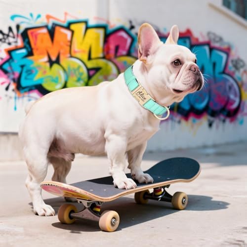 PET ARTIST Colorful Personalized Dog Collars, Breathable Soft, Green,M