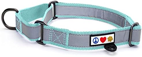Pawtitas Teal Reflective Martingale Dog Collar, Large