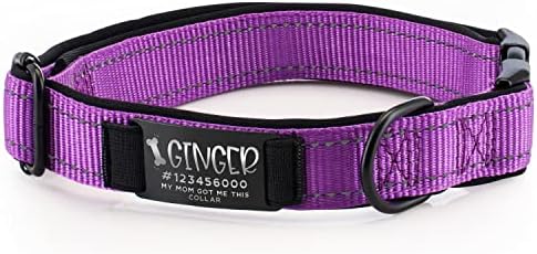 Improved - Personalized Dog Collars w/Engraved Metal ID Nameplate for Name & 3 Lines Text - Custom 20 Icons, 4 Adjustable Sizes, 10 Fonts - Dog Collar for Large Dogs, Dog ID Tag Personalized - Purple