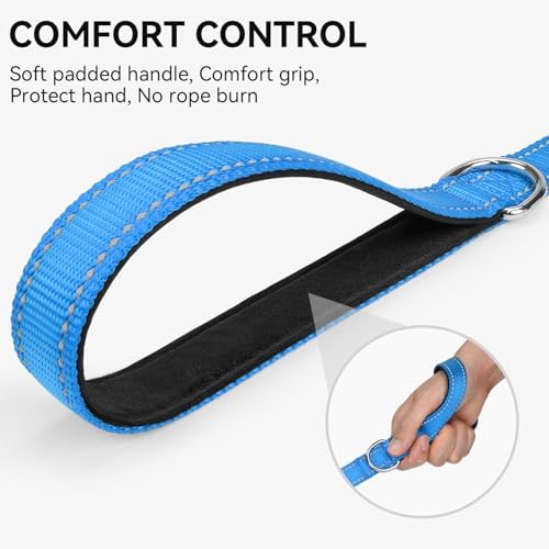 Joytale Reflective Dog Leash for Small Dogs, 6 FT x 3/4", Sky Blue