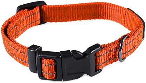Max and Neo Neo Nylon Buckle Reflective Dog Collar - We Donate a Collar to a Dog Rescue for Every Collar Sold (X-Small, Orange)