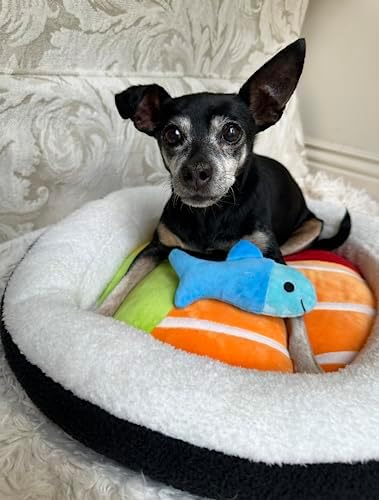 TONBO Soft Plush Small Cute and Cozy Food Dog Cat Bed, Washer and Dryer Friendly (Sushi Roll)