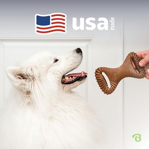 Benebone Dental Dog Chew Toy for Aggressive Chewers, Real Bacon, Large