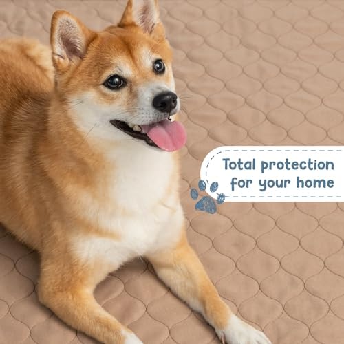 EZwhelp Reusable Dog Pee Pad, Washable Waterproof Round 48 in Mat, 1 Pack