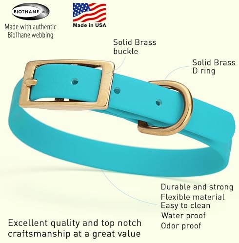 Viper Biothane Heavy Duty Waterproof Dog Collar Strong Coated Nylon Webbing w/Solid Brass Hardware Odor-Proof Easy to Clean High Performance Fits Small Medium or Large Dogs, Sky Blue