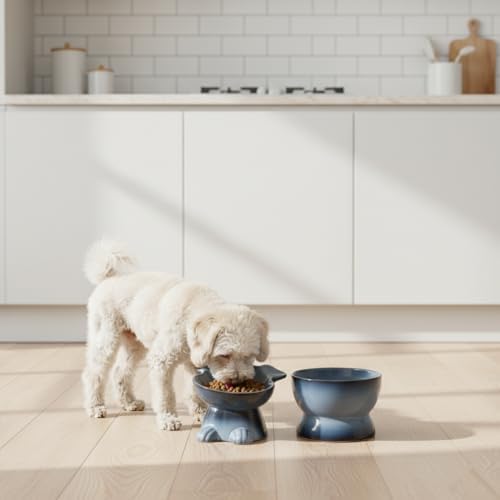 Nihow Dog Food & Water Bowls: Elevated Ceramic Bowls for Medium/Small Dog