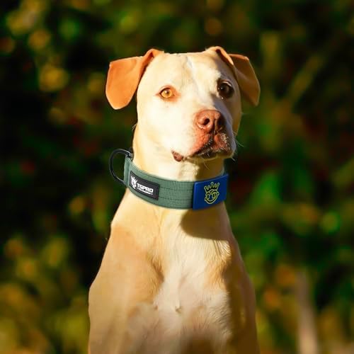 TSPRO Tactical Dog Collar, Heavy Duty Quick Release Metal Buckle and Patch