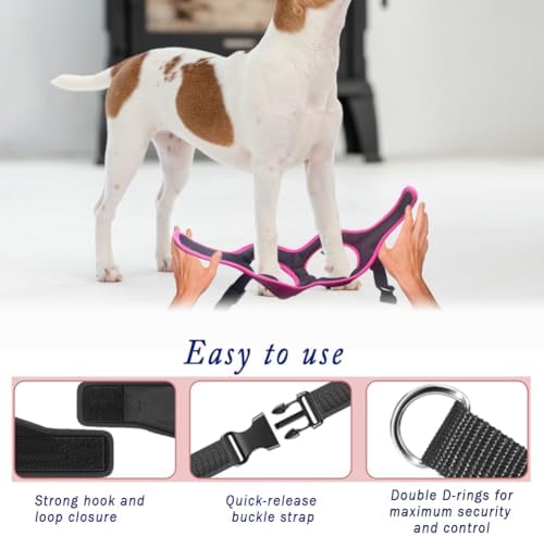 Comfort fit Step-in Dog & Puppy Harness - Comfortable Dog & Puppy Vest: Adjustable, Soft Padded, Easy to Put-on for Small, Medium-Sized Dogs.