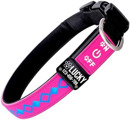 Personalized Flashing Dog Collar with Laser Engraved ID Tag