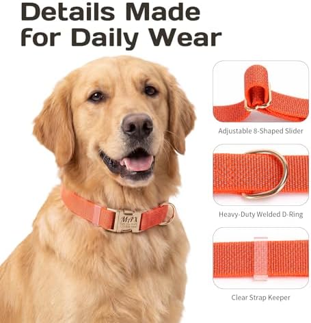 Custom Dog Collar with Name and Phone Number