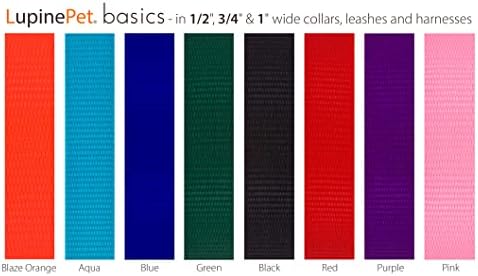 LupinePet Basics 1" Black 12-20" Adjustable Collar for Medium and Larger Dogs