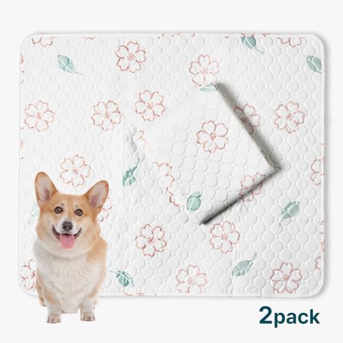 Extra Large Washable Dog Pee Pads (2 Pack), 31"x36" Reusable Waterproof Pad for Large Dogs, Super Absorbent, Non-Slip Indoor Puppy Training Mat