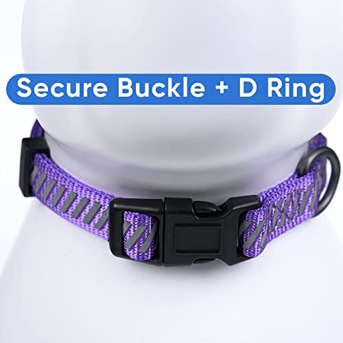 Pawtitas Reflective Dog Collar - Personalized Name & Phone Number, Adjustable for Small Dogs & Puppies - Purple