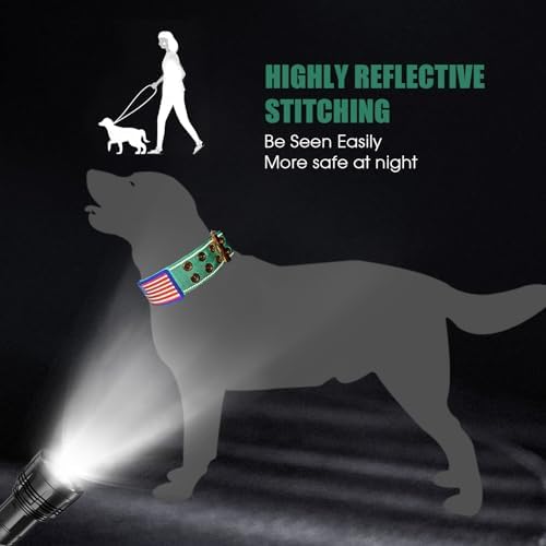 Heavy Duty Dog Collar for Medium Large Dogs,Teal,Medium
