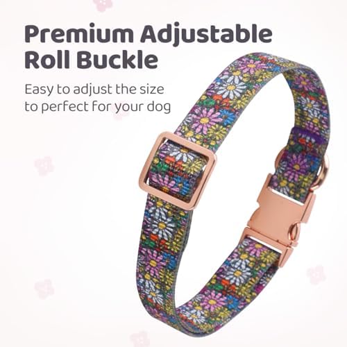 QQPETS Reflective Dog Collar with Metal Buckle Adjustable Nylon Collars Gift for Small Medium Large Boys Girls Dogs