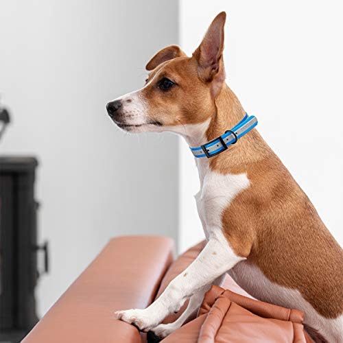 Dogline Biothane Translucent Reflective Waterproof Dog Collar Strong Coated Nylon Webbing with Black Hardware Odor- Proof for Easy Care Clean Fits Small Medium or Large Dogs - Blue 1" W x 22"-25" L