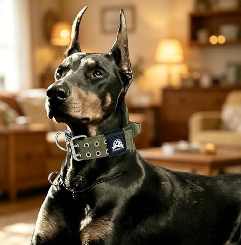 4-Layer Nylon Dog Collar,Heavy Duty for Large Dogs,Army Green L