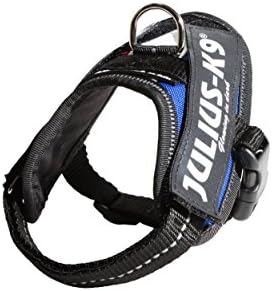 Julius-K9, 16IDC-FR-B1, IDC Powerharness, Dog Harness, Size: Baby 1, French Colours