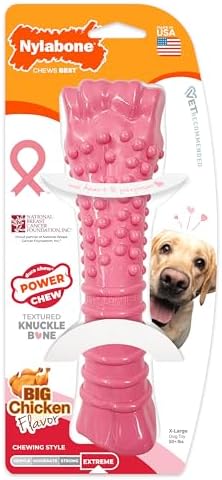 Nylabone Power Chew Breast Cancer Awareness Femur Bone Chew Toy for Dogs, Indestructible Dog Toys for Aggressive Chewers, Chicken Flavor, X-Large/Souper (1 Count)