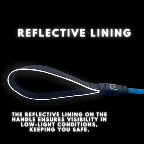 ShawnCo Basecamp Rope Dog Leash (Oceanic Blue, 6 Feet)