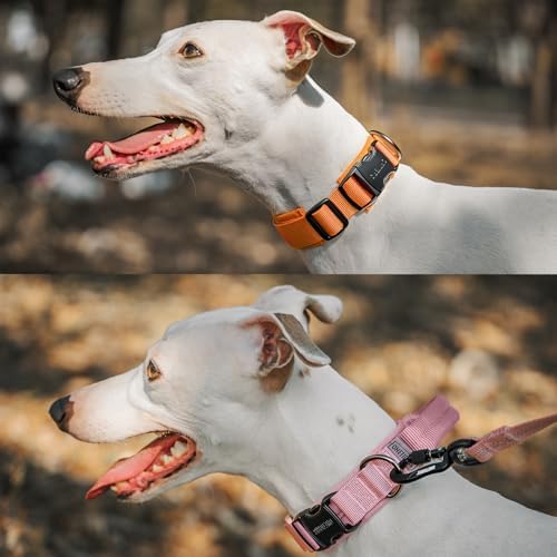 OneTigris Tough Tactical Dog Collar for Small Dogs with Handle Orange S