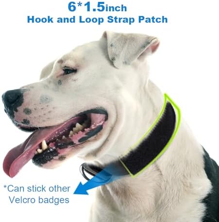 TSPRO Heavy-Duty Tactical Dog Collar with Patch, Large & Extra Large Dogs