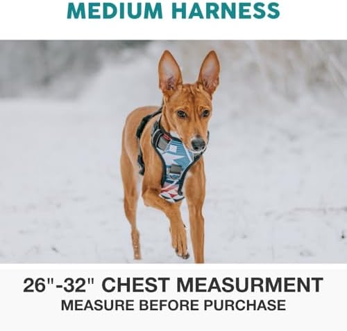 Embark No Pull Dog Harness, Reflective Adjustable Training Vest, No Choke