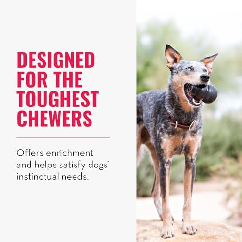 KONG Extreme Dog Toy, Natural Rubber Chew, for Small Dogs (Pack of 2)