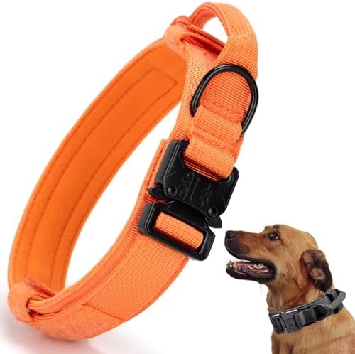 Tactical Dog Collar, Adjustable Military Training Nylon Pet Collar, Orange S