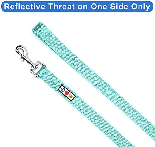 Pawtitas Teal Dog Leash 6 ft XS/S Reflective Durable Lightweight Dog Lead for Small Dogs and Puppies