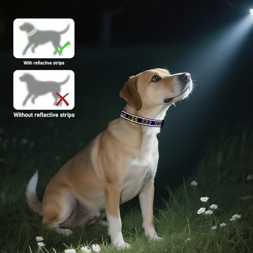 Personalized Dog Collar, Reflective Embroidered Nylon Collar with Name