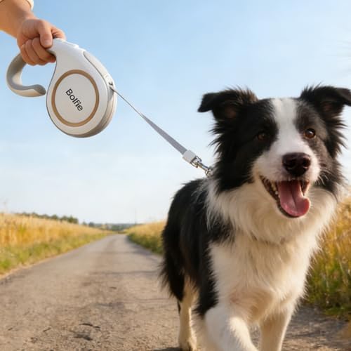 360° Tangle-Free Retractable Dog Leash 16 ft Heavy Duty Reflective Nylon Tape for Small to Medium Dogs Up to 60lbs,Soft Grip, Lock(Medium, White)