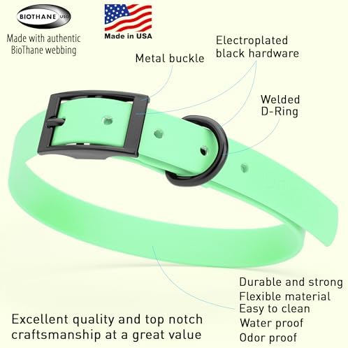 Dogline Biothane Waterproof Dog Collar Strong Coated Nylon Webbing with Black Hardware Odor- Proof for Easy Care Easy to Clean High Performance Fits Small Medium or Large Dogs, Sea Foam Green