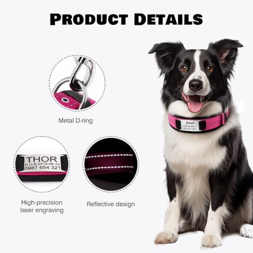 Personalized Nylon Dog Collar with Name Tag (Sky Blue, XL)