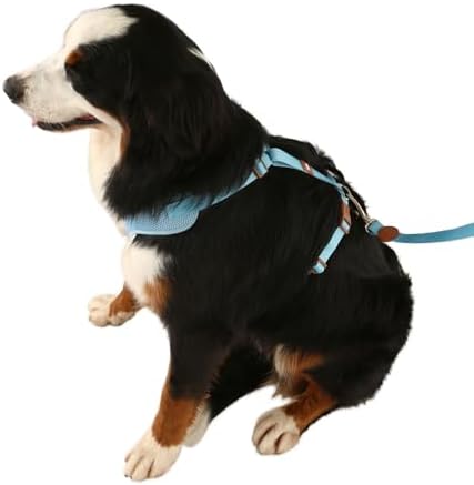 TOH Dog Mesh Harness Durable Stylish Design Puppy Harness with Adjustable Straps, Easy to Use Dog Harness Soft Perfect for Pets Training Outdoor Walking (Lilac, Large)
