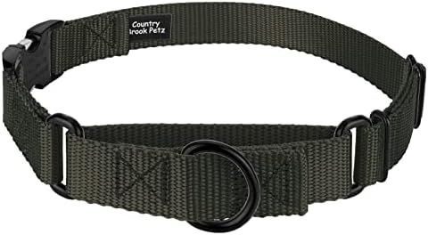 Country Brook Petz - Martingale Dog Collar - Heavy Duty Nylon Adjustable Martingale Dog Collar with Metal Buckle for Small Medium Large Breeds - 30+ Color Options (3/4 Inch, Small, Dark Olive Drab)