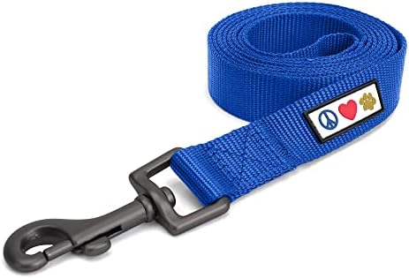 Pawtitas Solid 6 ft Blue Dog Leash XS/S Custom Name and Phone Embroidery Strong Nylon Leash for Small Breeds