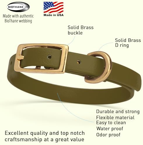 Viper Biothane Heavy Duty Waterproof Dog Collar Strong Coated Nylon Webbing w/Solid Brass Hardware Odor-Proof for Easy Care to Clean High Performance Fits Small Medium or Large Dogs, Olive Drab Green