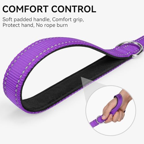 Joytale Reflective Dog Leash for Small Dogs, 4 FT x 3/4", Purple