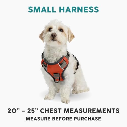 Embark No Pull Dog Harness, Reflective Adjustable Training Vest, No Choke