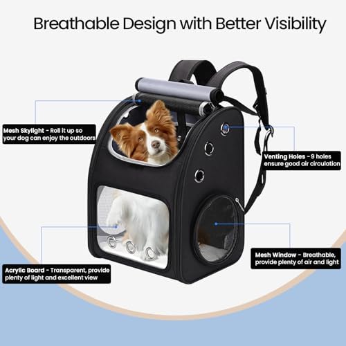 Expandable Cat Backpack Carrier, Large Space, Airline Approved, XL