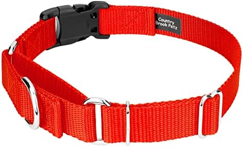 Martingale Dog Collar - Heavy Duty Nylon Adjustable Martingale Dog Collar with Plastic Buckle for Small Medium Large Breeds - 30+ Colors (1 Inch, Extra Large, Hot Orange)