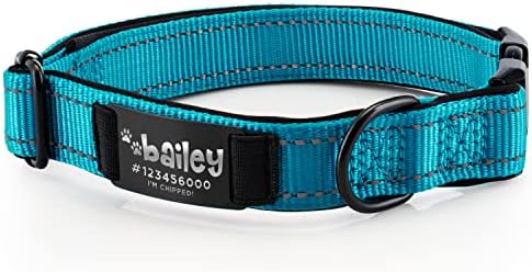 Improved - Personalized Dog Collars w/Engraved Metal ID Nameplate for Name & 3 Lines Text - Custom 20 Icons, 4 Adjustable Sizes, 10 Fonts, Dog Collar for Large Dogs, Dog ID Tag Personalized, Sky Blue