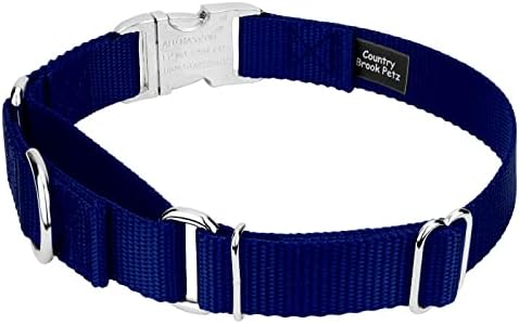 Country Brook Petz - Martingale Dog Collar - Heavy Duty Nylon Adjustable Martingale Dog Collar with Metal Buckle for Small Medium Large Breeds 30+ Color Options (5/8 Inch, Extra Small, Royal Blue)
