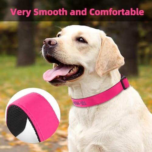Kuley Personalized Dog Collar, Embroidered with Pet Name and Phone Number