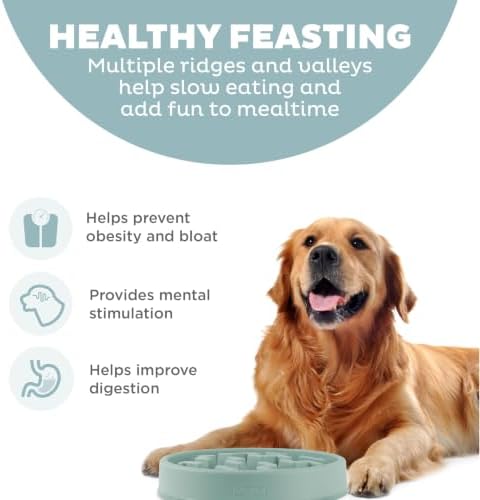 Outward Hound Fun Feeder Slo Bowl Dog Slow Feeder, Notch, Sage, 11.8", Large (Pack of 6)