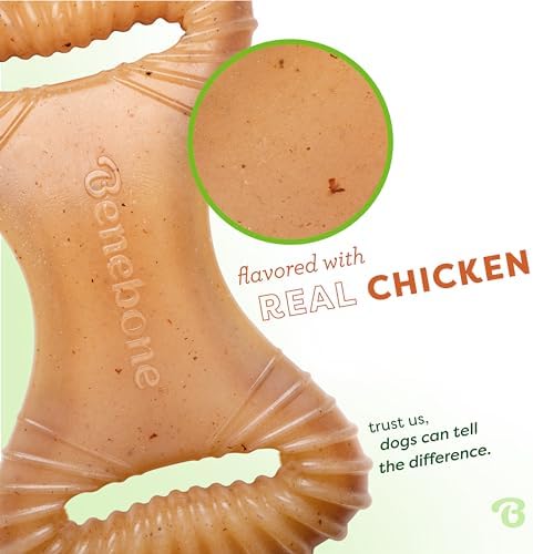 Benebone Dental Dog Chew Toy for Aggressive Chewers, Real Chicken, Medium
