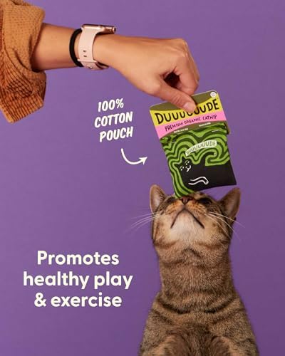 Blue Q Catnip - Cute Cat Toys for Biting with Funny Graphics - Duuuuuuuude